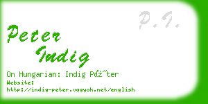 peter indig business card